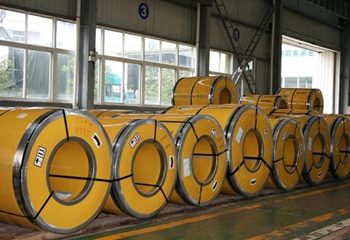 Stainless Steel Coil Packing